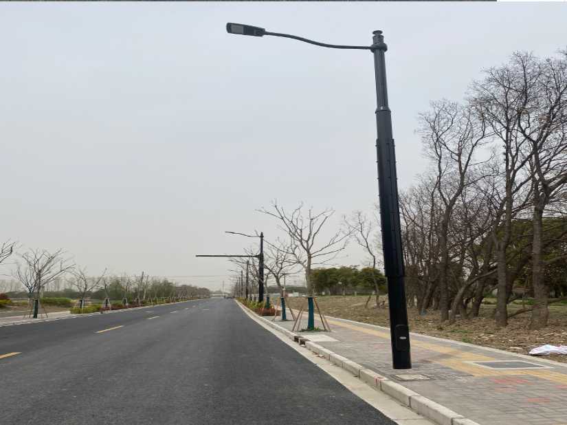 淮上区上海综合杆 太阳能路灯工程